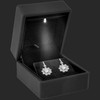 Noble Earring Box with LED Light - Unique Jewelry Display