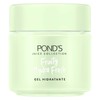 Gel Hidratante Facial Ponds Fruity Hydra Fresh Aloe 110 g