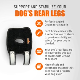 NeoAlly - 3-in-1 Short Rear Leg Hock Brace, Dog Leg Brace for Rear Leg with Rigid & Spring Inserts, Hock and Ankle Support, Dog Leg Sleeve with Reflective Straps, Large, 1 Pair