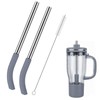 2Pcs Replacement Metal Straws for Ninja BlendBOSS