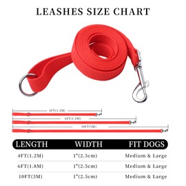 HOUGAK Strong Nylon Dog Leash with O-Rings, 4Ft/6 Ft and 10Ft, 1 Inch Wide, for Medium and Large Dogs Walking, Training Or Exploring (red, 4ft)