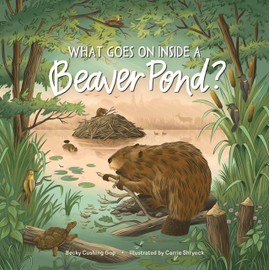 What Goes on inside a Beaver Pond?
