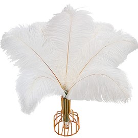 iHUFeather 10pcs White Ostrich Feathers Natural Bulk 12-14Inch 30-35cm for Wedding Party Centerpieces Easter and Home Decorate Ostrich Feathers