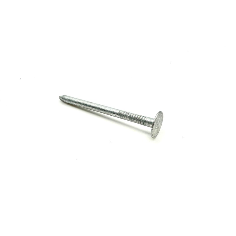 Clout Nails Galvanised Large Head (200g Pack) Roofing Felt Nail