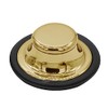 Westbrass D209-01 Waste Disposal Stopper, Polished Brass