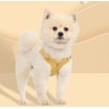 Oyccen Small Dog Harness with Lead, Puppy, Adjustable Chest Harness,