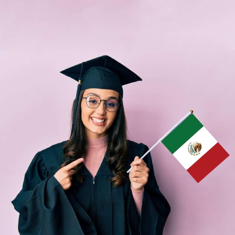 25 PCS Mexico Handheld Small Flag,Mexican México Hand held Mini