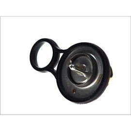 Calorstat TH6843.91J Thermostat, coolant