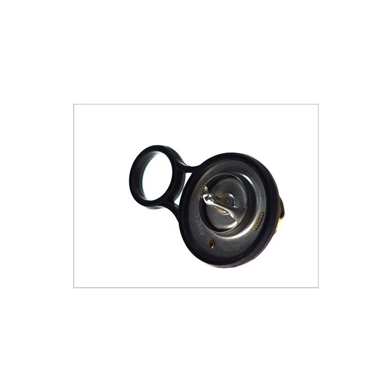 Calorstat TH6843.91J Thermostat, coolant