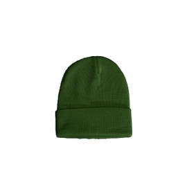 East Eagle Beanie hat, light green