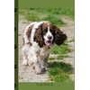 Springer Spaniel Notebook with 120 Lined Pages.: Dog Lovers Notepad.