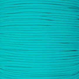 PARACORD PLANET 550 Paracord – Solid Colors – for Indoor and Outdoor Applications (100 Feet, Seafoam)
