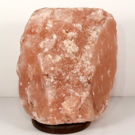 Huge 22.3lb 9.5" Pink Himalayan Salt Crystal Lamp Natural Rough Mineral Stone Rock Decor Night Light Lamp Halite Specimen w/Cord and LED Bulb