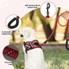 Service Dog Vest Harness and Leash Set, Animire in Training