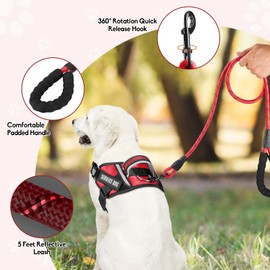 Service Dog Vest Harness and Leash Set, Animire in Training Dog Harness with 10 Dog Patches, Reflective Dog Leash with Soft Padded Handle for Small, Medium, Large, and Extra-Large Dogs