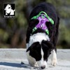 WINHYEPET True Love No-Pull Dog Harness, Adjustable Outer Vest, Reflective