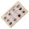CIYODO 12pcs Educational Rock Collection Kit Mineral Rock Specimens for