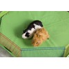 Prevue Pet Products Multi-Color Small Pet Playpen 40090,13x35.87x8.67 inch