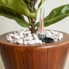 2-Pack 10-Inch Dark Wood Plastic Self-Watering Flower Pots & Planterscolor: