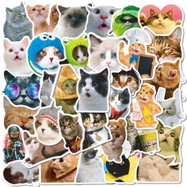 50 Pcs Cute Cat Stickers, Aesthetic Vinyl Decals with Funny Meme & Kawaii Kitten Designs, for Laptops, Water Bottles, Scrapbooks, Suitcases, Notebooks, Phones, Skateboards – for Cat Lovers & Teens