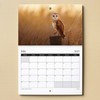 British Animal 2025 Wall Calendar Featuring Stunning Photography of Animals