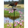 Garden Metal Bird Stake Decoration, Robin Design, Outdoor Decorative Yard