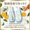 Lux Luminique Lux Luminique Oasis Calm Shampoo Refill, 12.8 oz