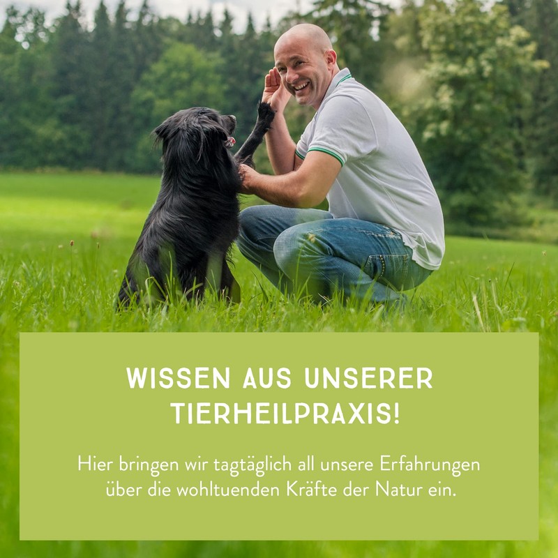 AniCanis Ohrvital Ear Care Drops - Ear Drops for Dogs