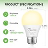 CFMASTER 12 Pack A19 LED Light Bulb, 15W(100W Equivalent) LED