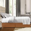 Clara Clark Premier 1800 Collection Solid Bed Skirt - Brushed