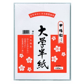 マルアイ(Maruai) 大学半紙 100枚 タ-914