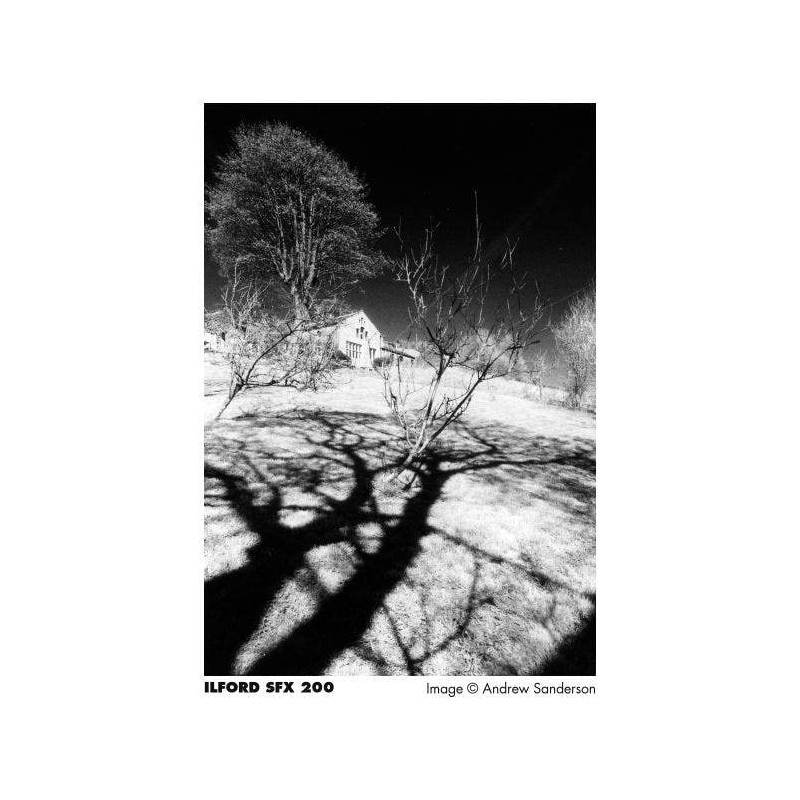 Ilford SFX 200-36