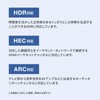 Sanwa Supply KM-HD20-P10L HDMI Cable with Latch (3.3 ft (1