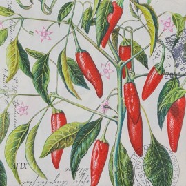 TWO Individual Napkins Chili Pepper Lunch Decoupage (597)