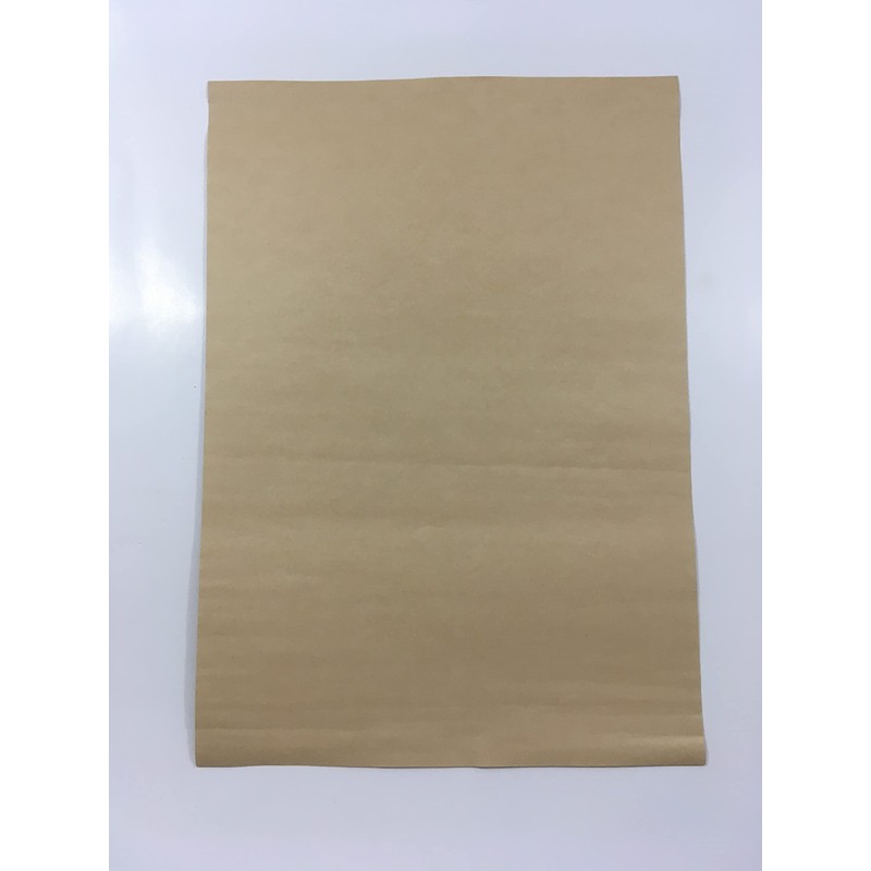 Freak Show Circus Poster Print Snake Lady Picture