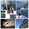 LUNYANG 100% Fluorocarbon Tapered Leader Fishing Line 9FT 2X-Not Coated/Abrasion
