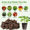TEZKOLES 50 Pack Round hydroponic Growth Sponge, Suitable for Indoor