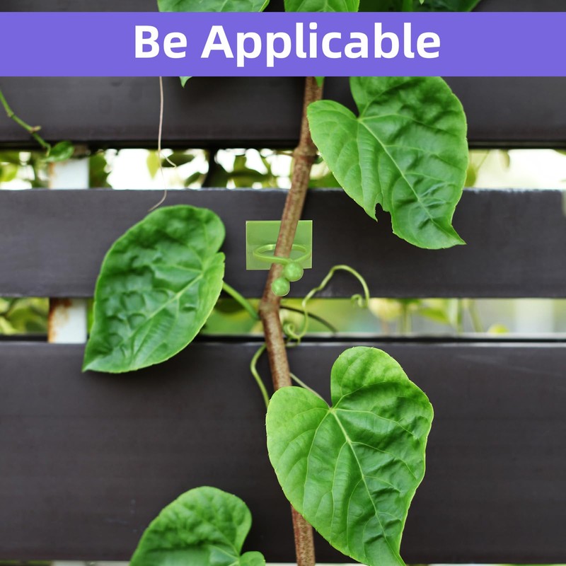 JVNZAM 12 Pcs Transparent Plant Stem Support, Reusable Invisible Plastic