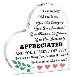 Motivational Quotes Acrylic Keepsake Inspirational Gifts Thank You Desk Sign for Women Men Appreciation Gifts for Coworker Sisters Friends Encouragement Home Office Desk Sign Decor