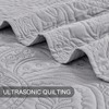 BOURINA Ultrasonic Quilt Set Bedspreads 3-Piece Bedding Set Pre-Washed Microfiber