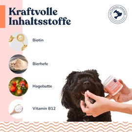 Felmo- Hochdosiert B-Vitamine + Tabletten für Hunde (120g) einschließlich Vitamin B1, B2, B3, B6 und B12 - Mit Biotin & Bierhefe leicht zu verabreichen- Mit Tierärzten entwickelt und empfohlen