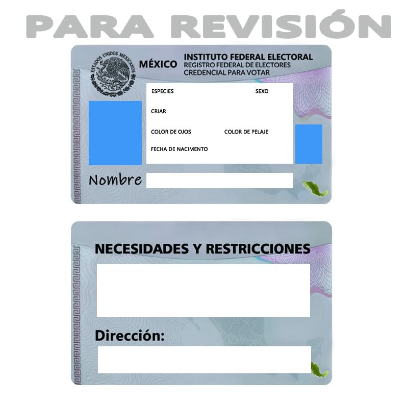 Tarjeta de Identificación Personalizada - Placa Metálica Duradera para Perros