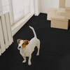 Drydiet PVC Pet Crate Floor Protection Mat 24" X 38"