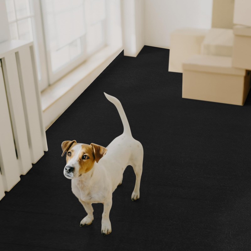 Drydiet PVC Pet Crate Floor Protection Mat 24" X 38"