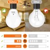 Sailstar A15 Ceiling Fan Light Bulbs, E12 Base, 6Watt (60-Watt