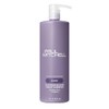 Paul Mitchell Platinum Blonde Champú Violeta, Elimina Tonos Cobrizos +