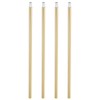 PATIKIL Threaded Extension Rod, 4 Sets 12" M10 x 1mm