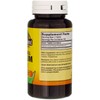 Nature's Blend Oyster Shell Calcium 500 mg Tablets - 100