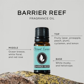 Barrier Reef - Premium Fragrance Oil - Eternal Essence Oils (10ml)