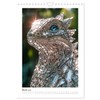 Wilderness Royale, US-Version (Wall Calendar 2026 DIN A4 Portrait), CALVENDO